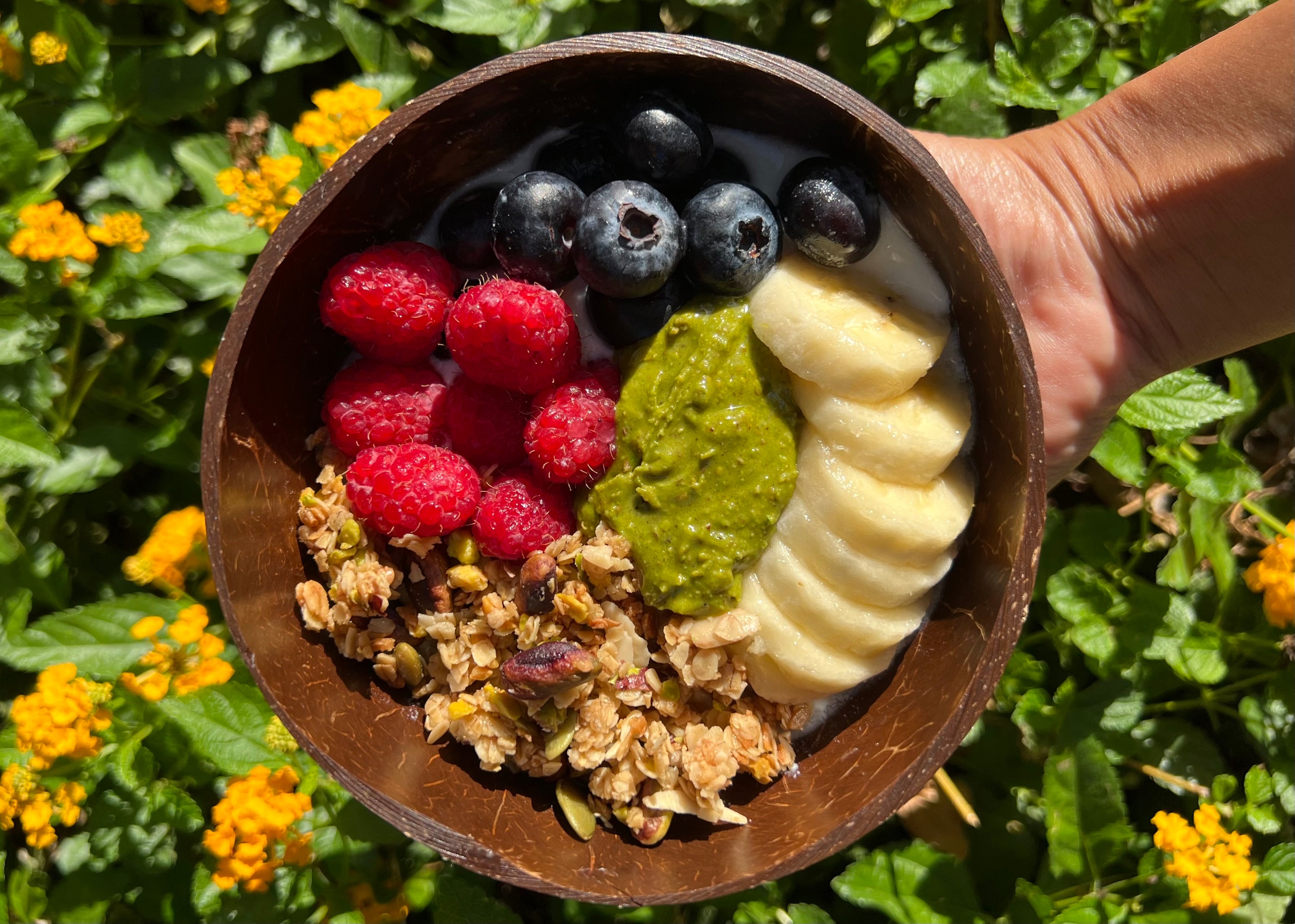 Pistachio Granola Bowl